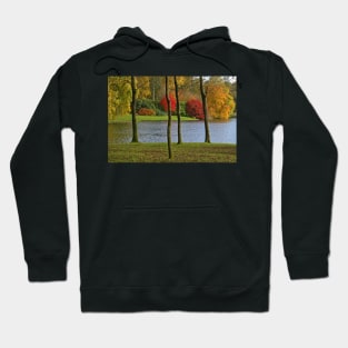 Autumn Splendour Hoodie